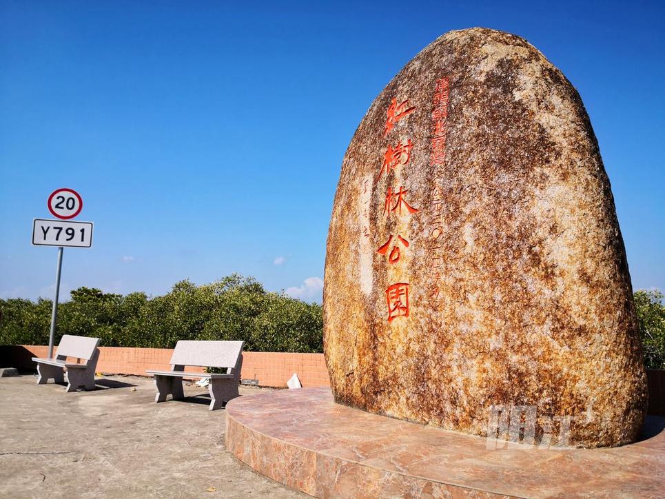 溪头镇红树林湿地公园