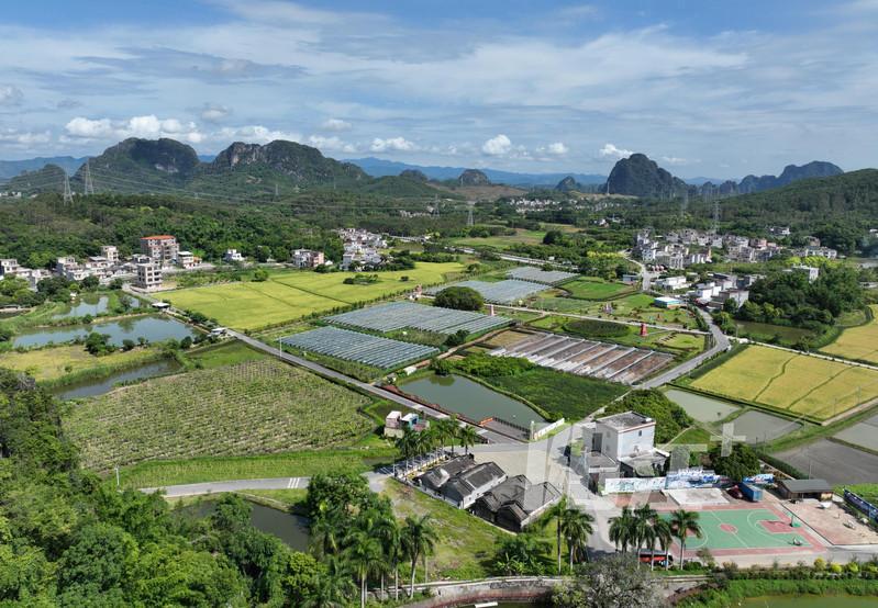 阳春市春湾镇高村图片